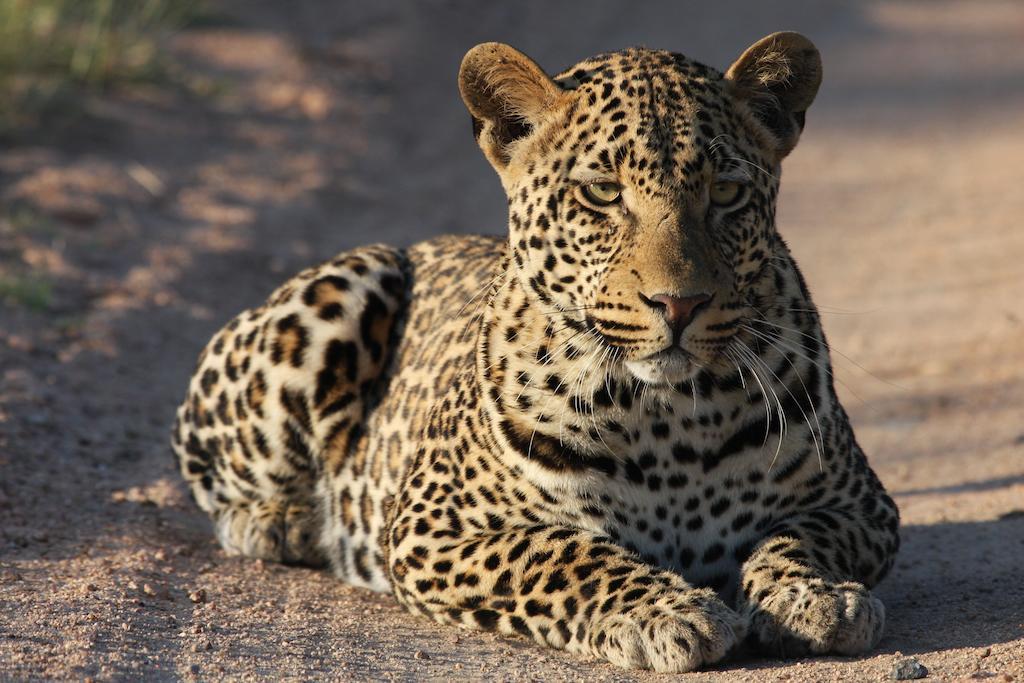 Tutwa Desert Lodge Augrabies ภายนอก รูปภาพ