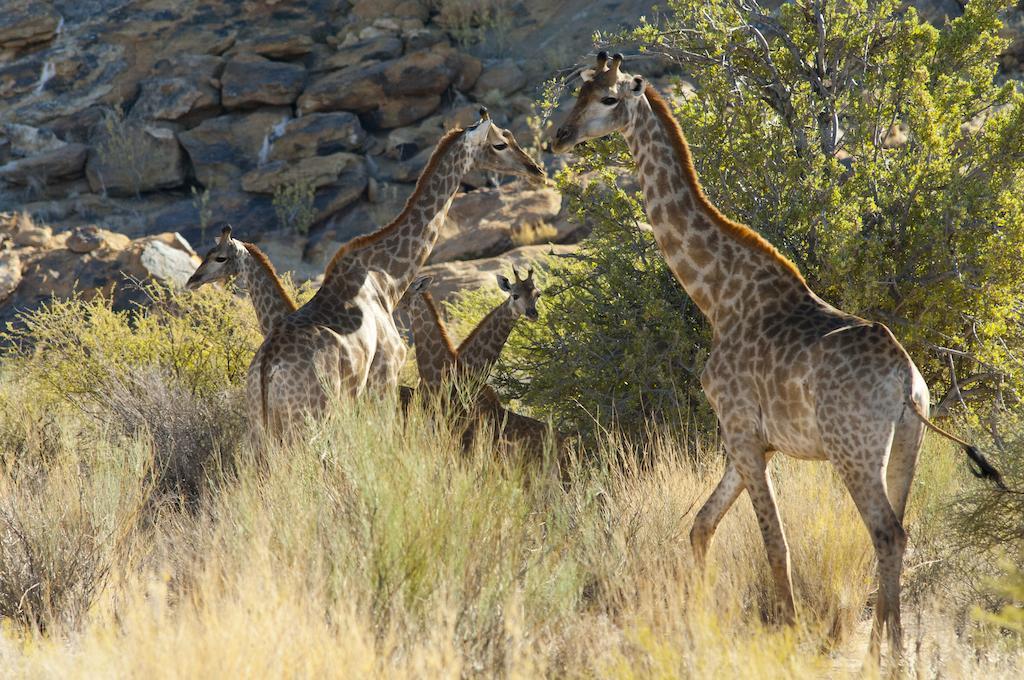 Tutwa Desert Lodge Augrabies ภายนอก รูปภาพ