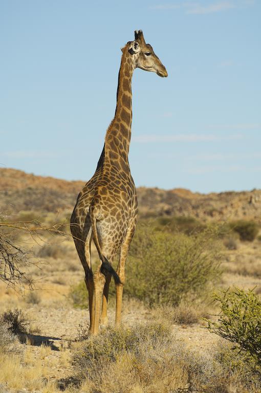 Tutwa Desert Lodge Augrabies ภายนอก รูปภาพ