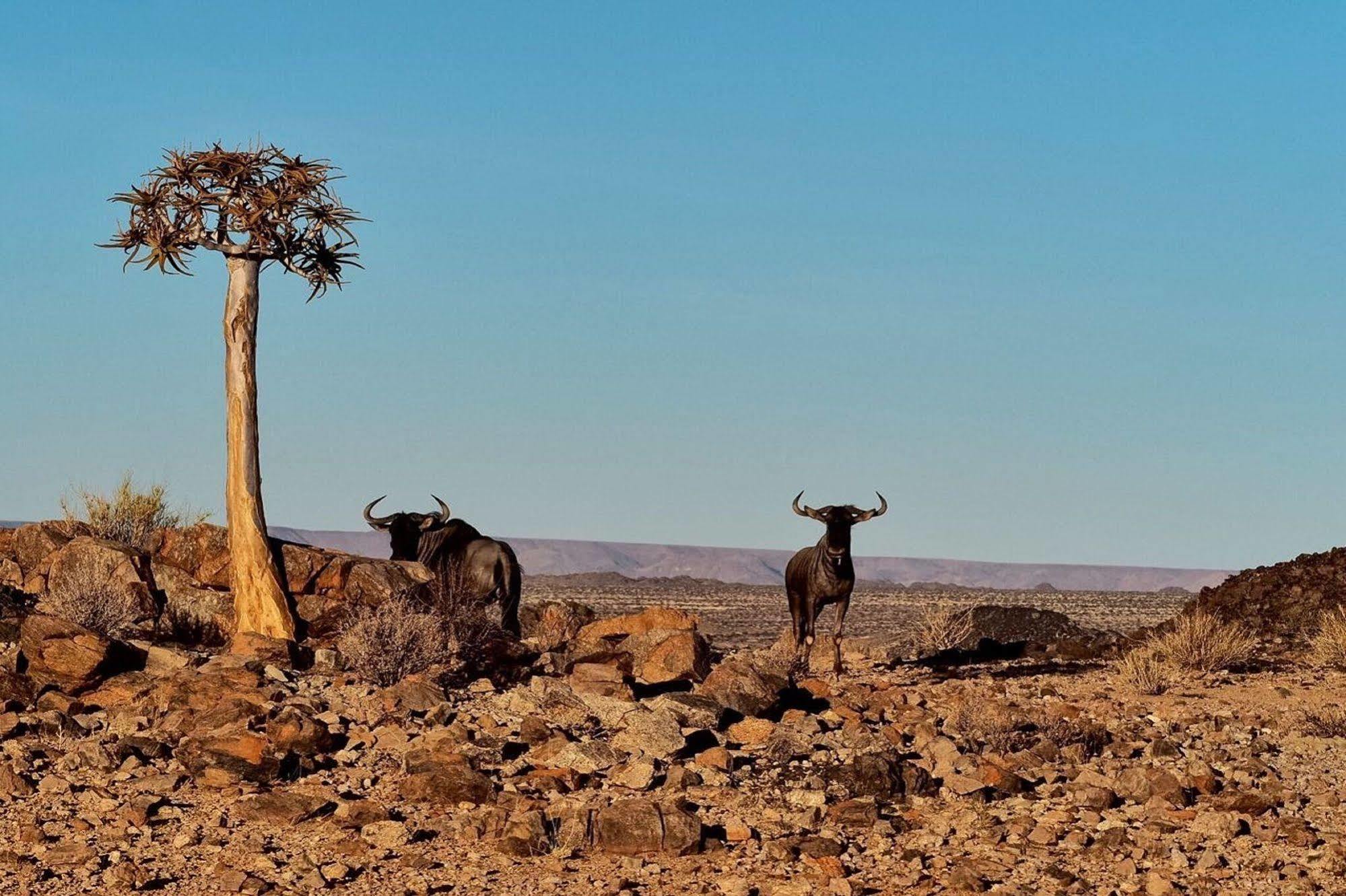 Tutwa Desert Lodge Augrabies ภายนอก รูปภาพ